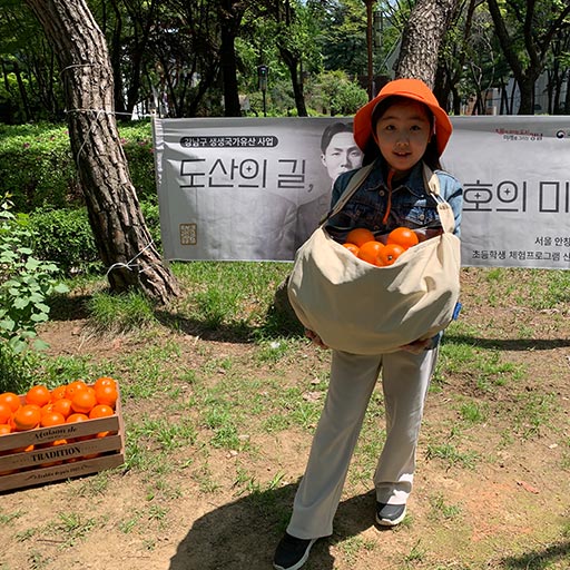 도산의 길, 안창호의 미국 여정