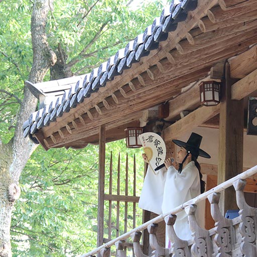 뮤지컬 독락(獨樂)
