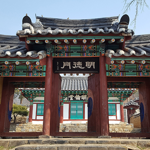 연기향교 은행나무 학당