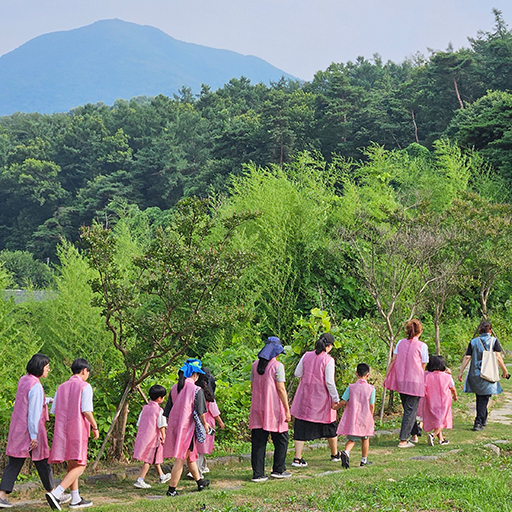 은행나무 휴(休) (대표)